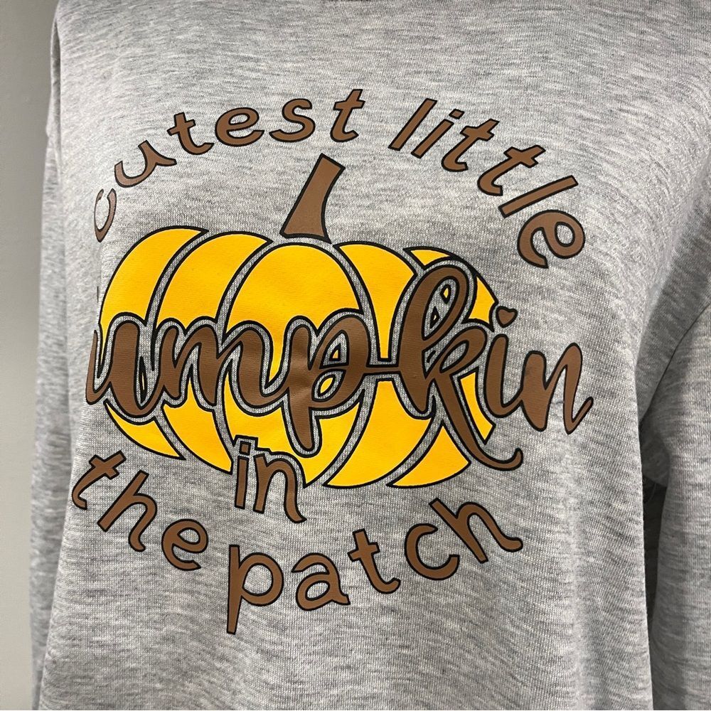 Gray Pumpkin‎ Graphic Sweatshirt - Picture 2 of 11